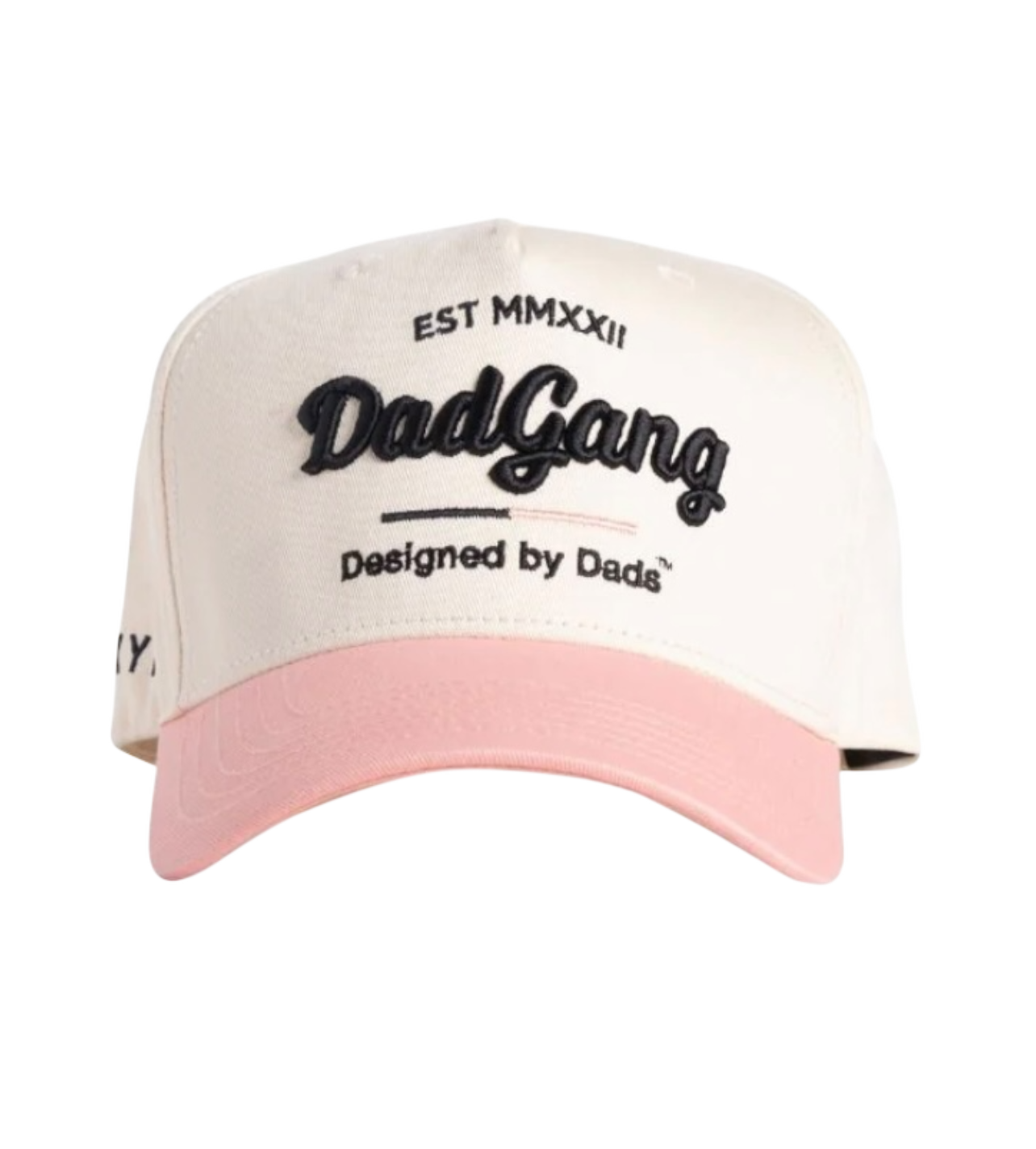 Dad Gang Pink Hat