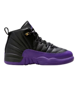 Jordan 12 PS Field Purple Rare (size 13C)