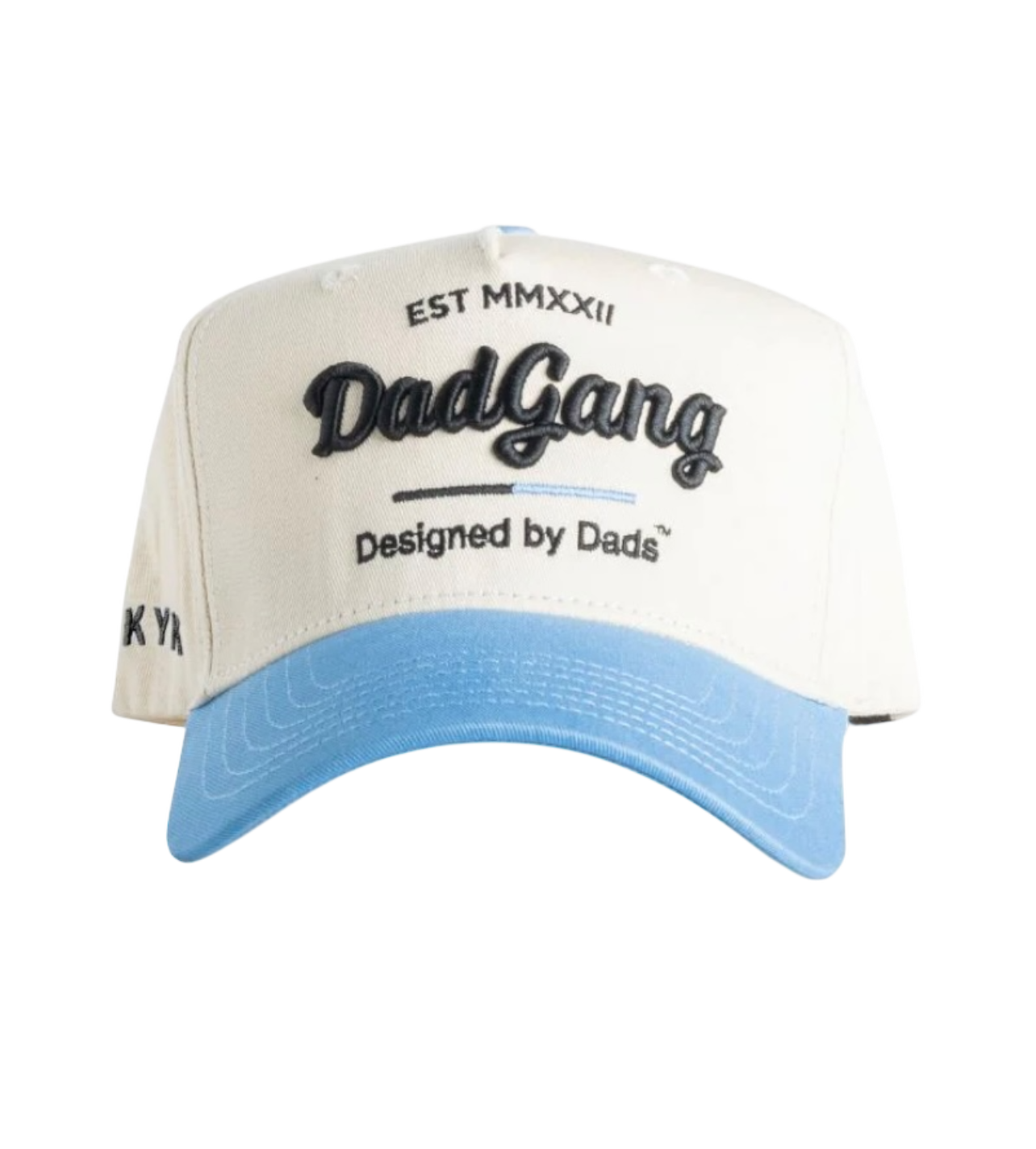 Dad Gang Light Blue Hat