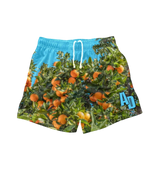Awoken Dreams Oranges Short