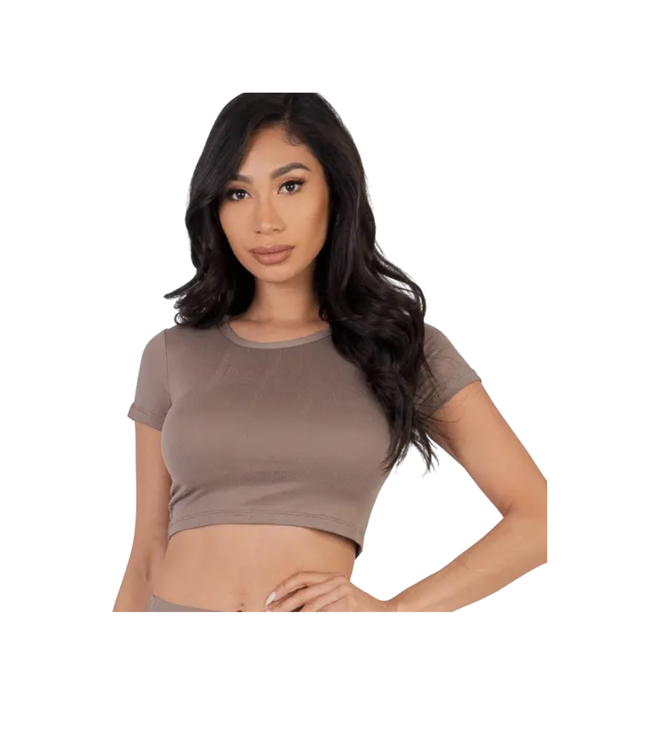 Capella Short Sleeve Crop Tee Taupe