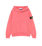 Stone Compass Patch Hoodie Guava